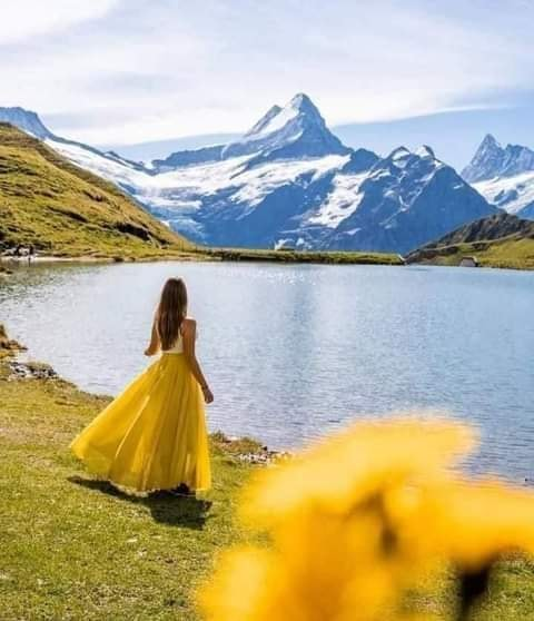 صورة