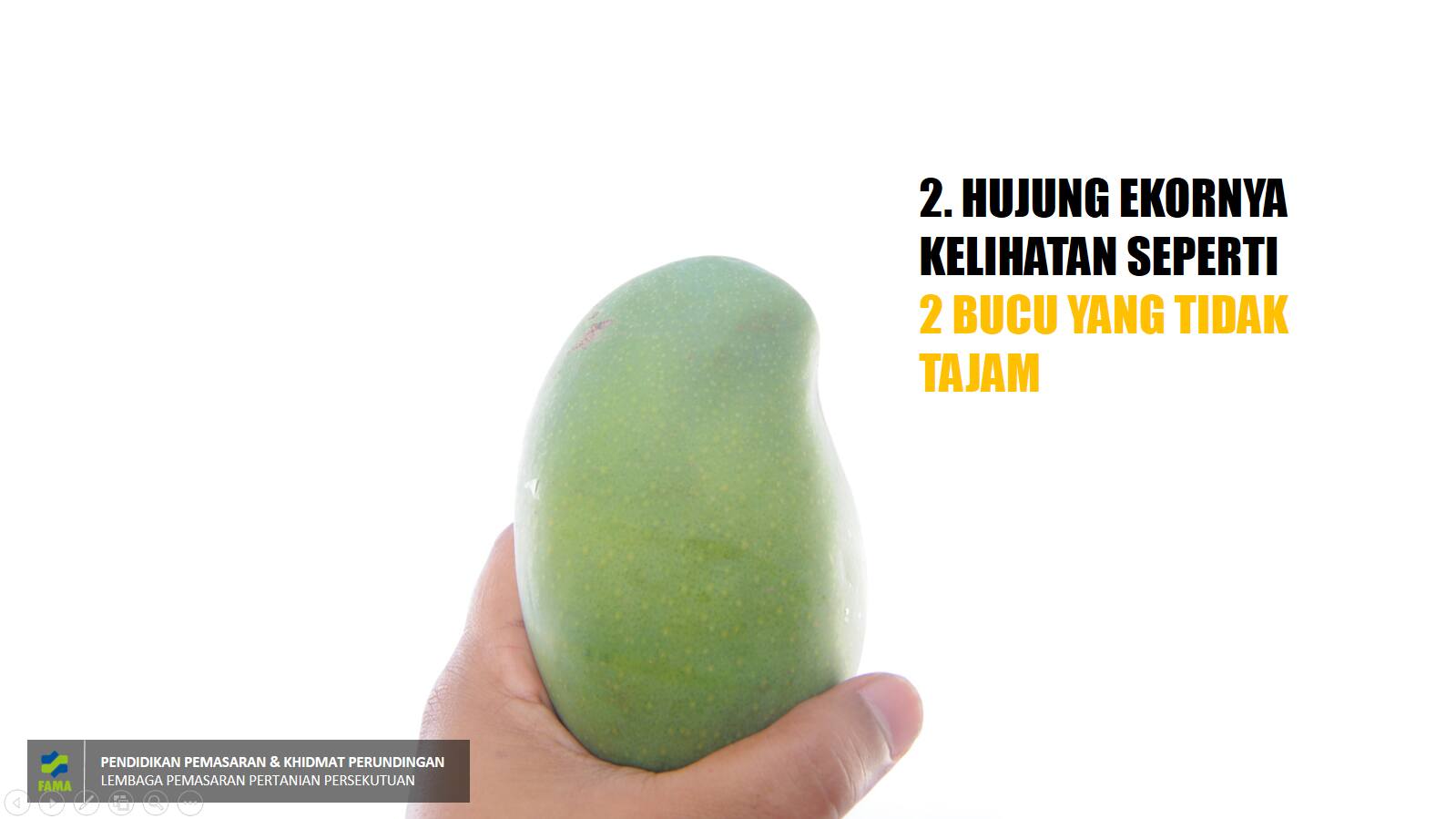 Cara Kenal Buah Mangga Harum Manis yang Asli - Travel ...