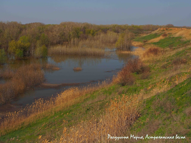 Разлив Волги фото