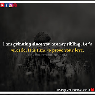 Best Funny Brother Quotes From a Sister | Best Quotes About Brothers To Say | Best Brother Quotes And Sibling Sayings | Funny Quotes On Brother And Sister