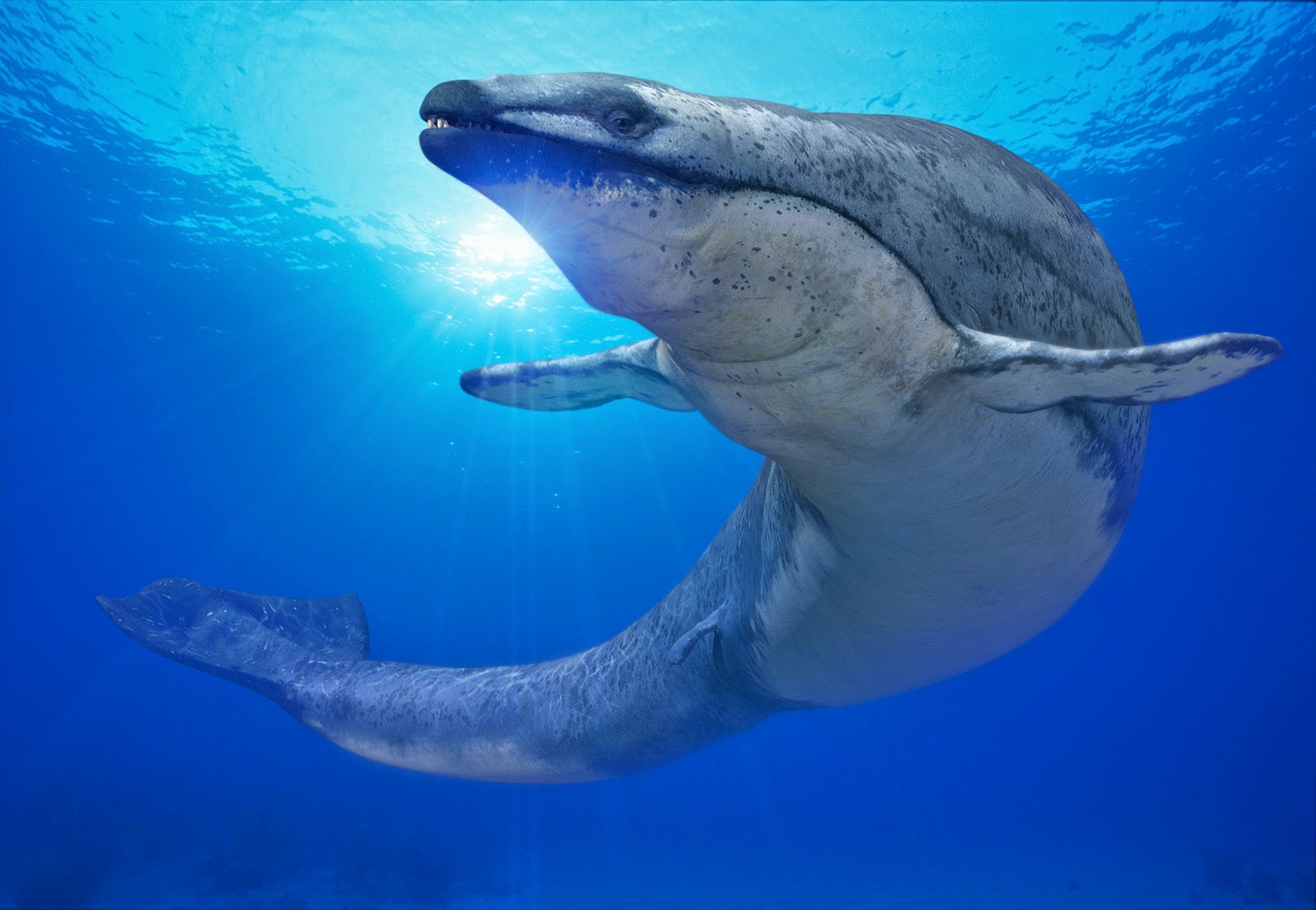 3 Hewan Laut Terganas  yang Pernah Ada Fakta Blogger
