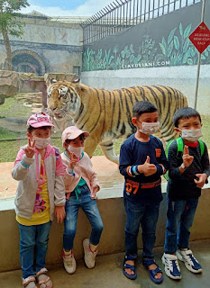 Fauna di Lembang Park and Zoo