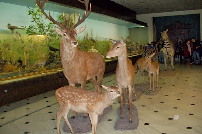 Αποτέλεσμα εικόνας για Μουσείο Γουλανδρή Φυσικής Ιστορίας