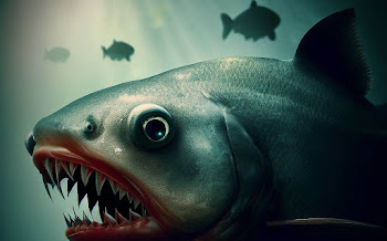 Piranha Solution: Unveiling the Secrets of a Powerful Chemical Mixture