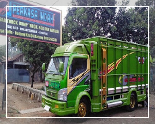  Foto  modifikasi  truk  canter terbaru hino ragasa  fuso dutro 