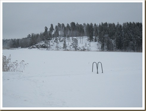 Vinter 2076