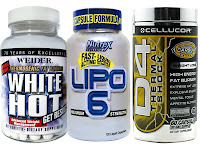 best fat burner supplement