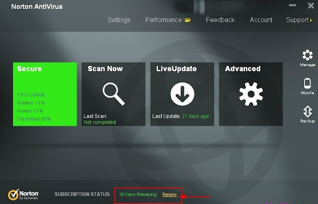 Norton Antivirus 2013 - Interface