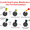 Contoh Soal Hots Biologi Kelas Xii