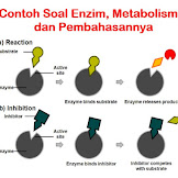 Contoh Soal Hots Biologi Kelas Xii