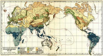 Amazing Old World Maps