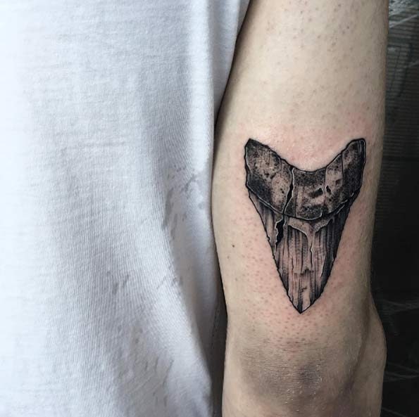 este_dente_de_tubaro_fsseis