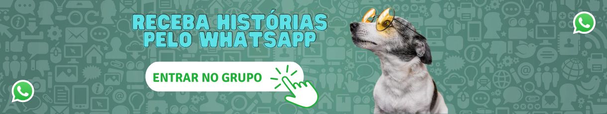 Receba Histórias de cães pelo whatsapp