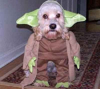 Roupas para Cachorros | Star Wars