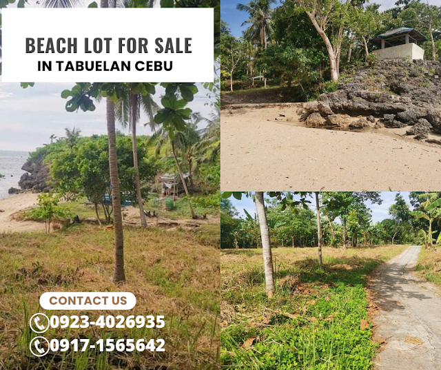 Beachfront Property in Tabuelan Cebu Philippines