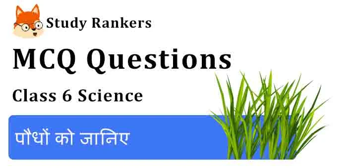 MCQ Questions for Class 6 Science Chapter 7 पौधों को जानिए