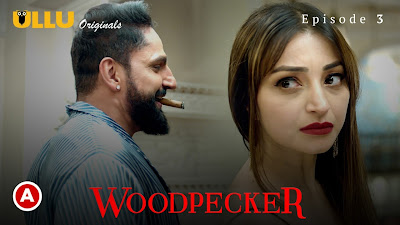 Woodpecker Hindi web series