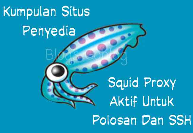 Situs Penyedia Squid Proxy Port Premium Gratis Support Polosan Ssh Terbaru