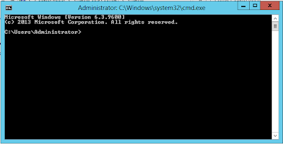 Command Prompt Window