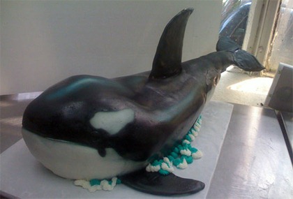 whale-cake