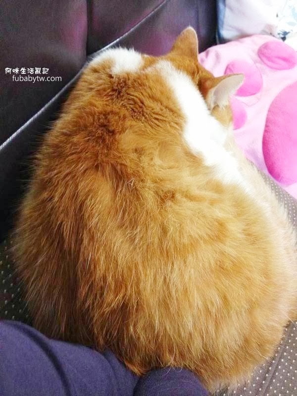 調整大小IMG_2992