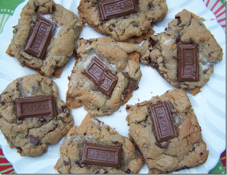 Chocolate Chip S'more Cookies 016