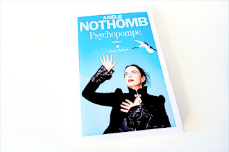 Couvertures, images et illustrations de Acide sulfurique de Amélie Nothomb