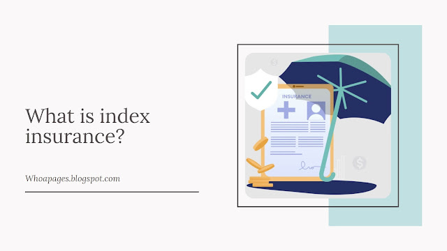 What is index insurance?