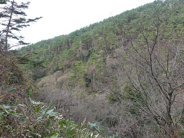 赤松池の脇道からの眺望