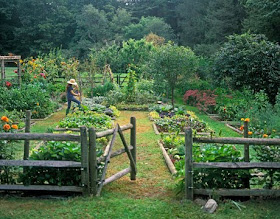 An Accomplished Woman: Gardening: A Fall Plan for the Spring