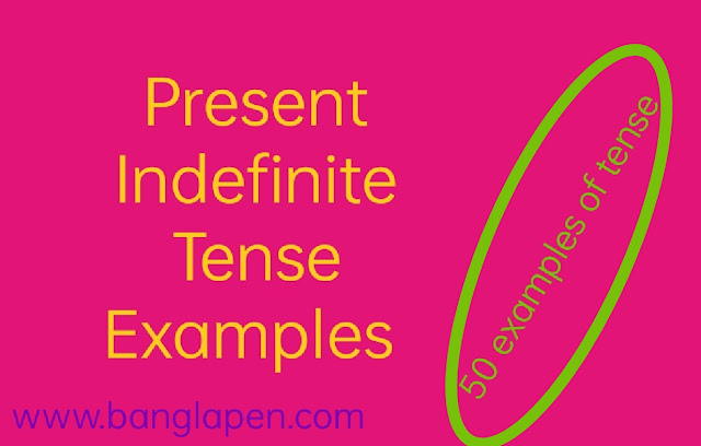 present indefinite tense examples