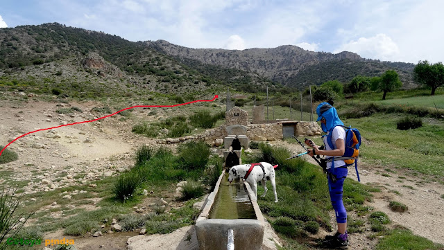 Subida lineal al Pico Atalaya, "techo de Albacete" en la Sierra de las Cabras.