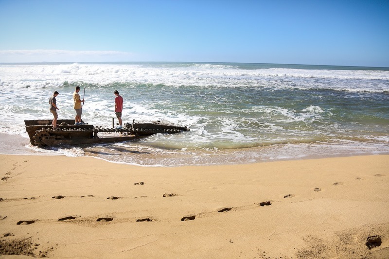 polihale-8