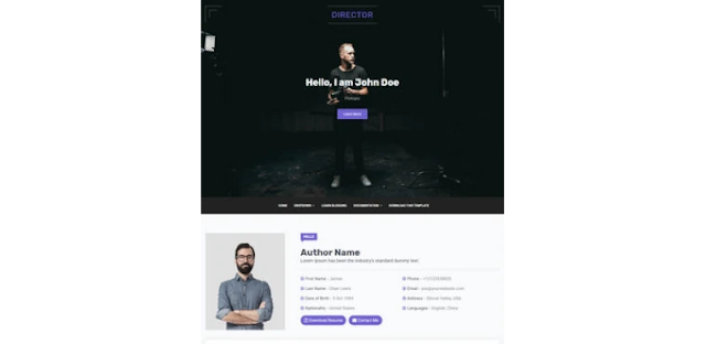 Template Landing Page Blogspot Gratis: Director Blogger Template