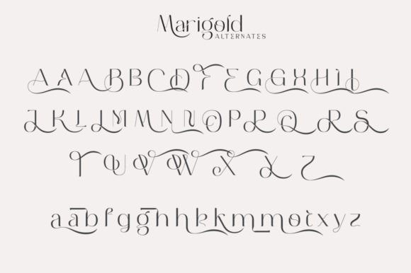 Download Marigold Font - Sans Serif Fonts