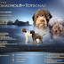 First Lagotto Romagnolo di Totegnac puppies are born!!!