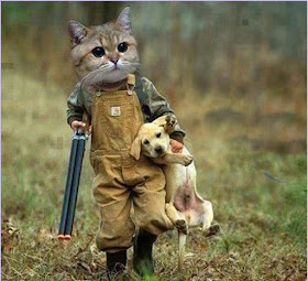 Funny Images HD Wallpaper