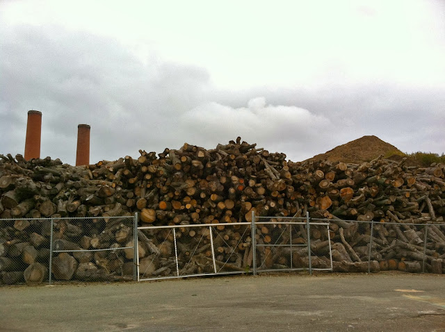 Rubbish-Disposal-and-The-Town-of-Oyster-Bay