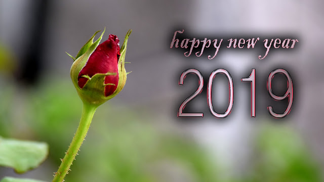 happy new year whatsapp status latest