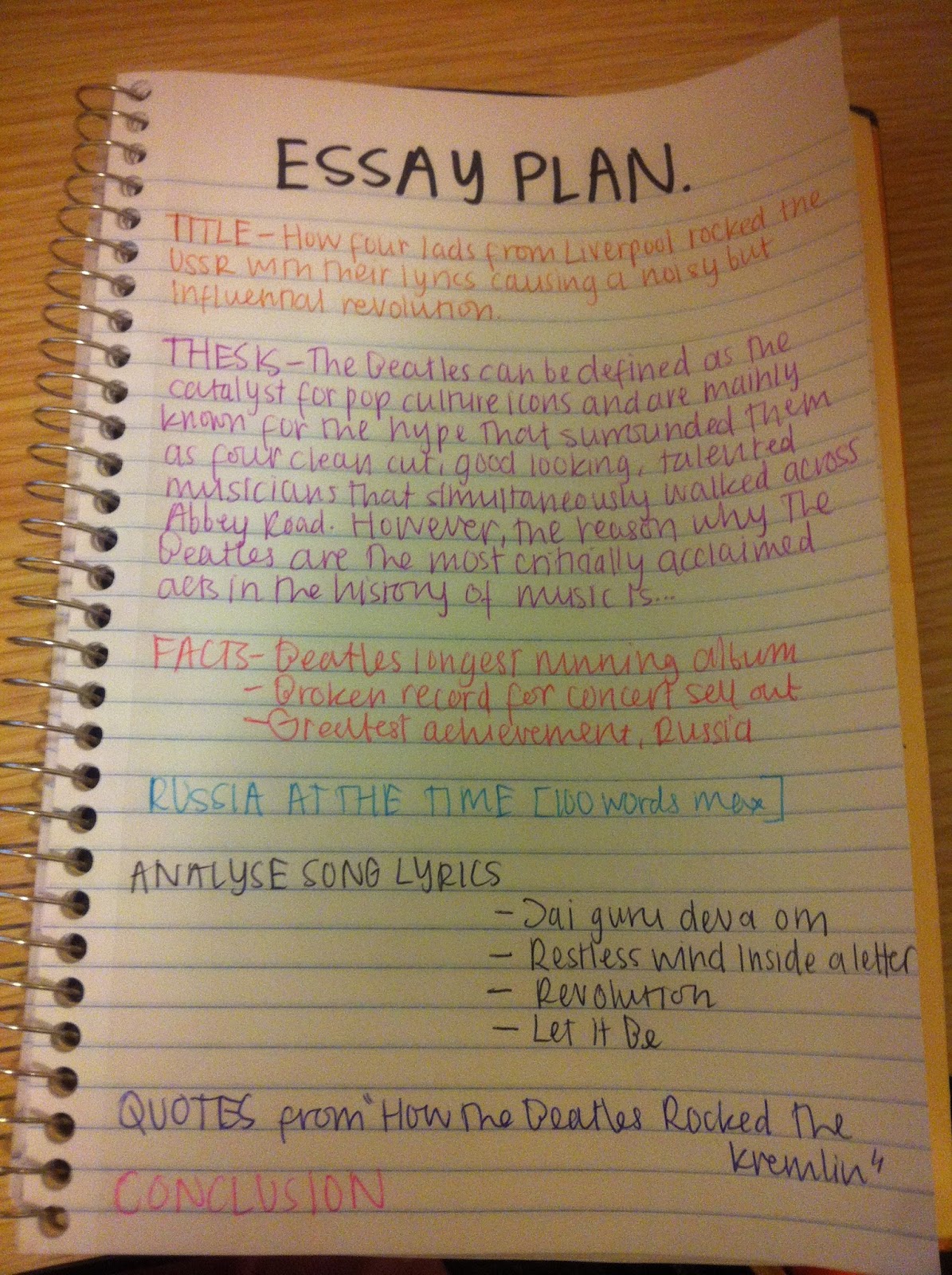 my future plans essay