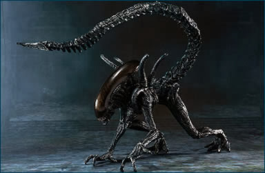 Bandai SH Monsterarts AvP Alien Warrior Figure