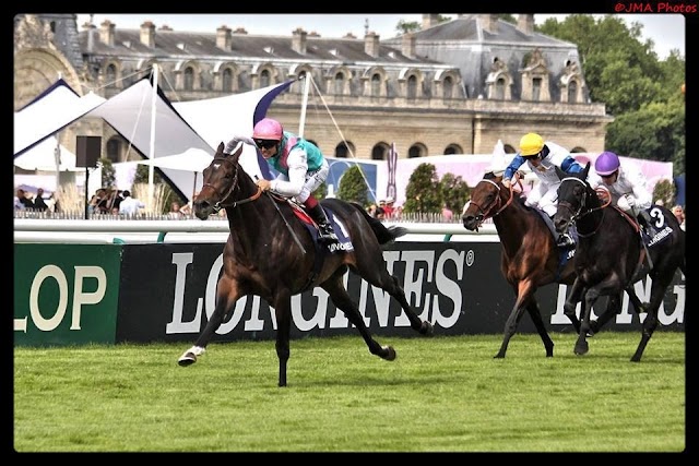 Longchamp: #Flintshire vola sul Grand Prix de Paris, è il 12° sigillo per Andre Fabre. Secondo Manddawi, terzo Ocovango male Battle Of Marengo. Per il Juddmonte ora Niel e poi Arc de Triomphe. 