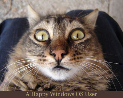 Cat staring like Windows Happy User: Intelligent Computing