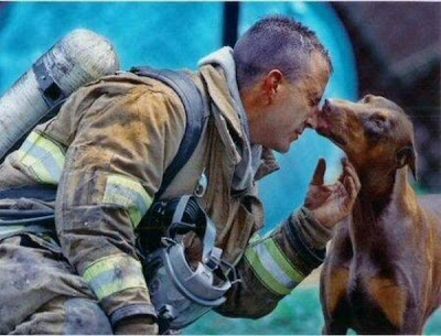 Animals Being Rescued Seen On www.coolpicturegallery.us