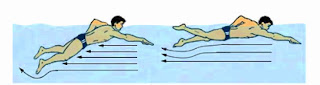 Resultado de imaxes para posicion del cuerpo en estilo crol