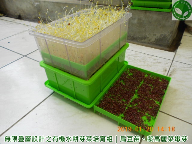育苗盤 有機芽菜農場 有機芽菜的種植可以很環保 更能很簡單在家種菜 芽菜自己在家簡單種 有機無毒自己來把關 痞客邦