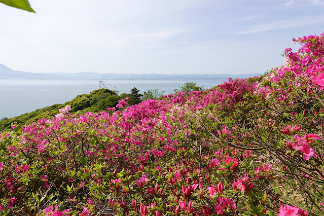 島根県松江市美保関町美保関 五本松公園からの眺望