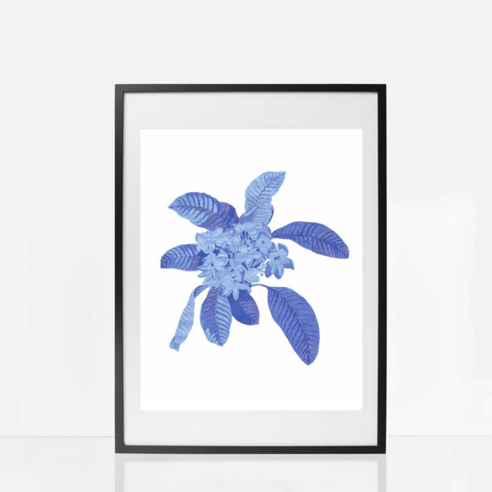 chintz frangipani print blue