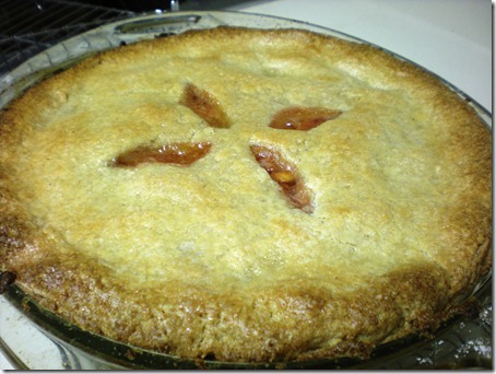 Home made gluten free peach pie! OMG. YUM!